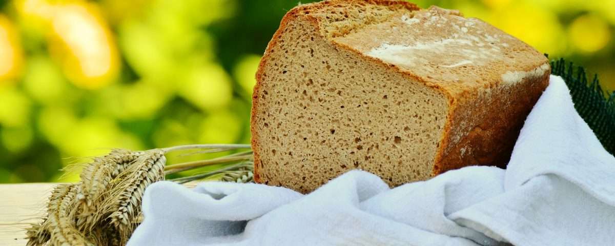 Receita de pão vegano econômico Tudogostoso